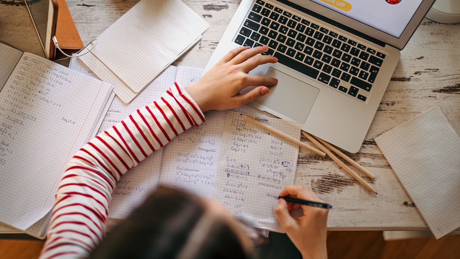 Girl having classes on the computer