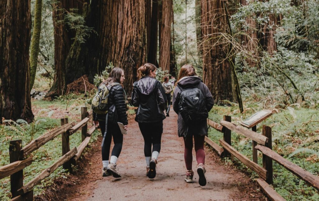 young people in the  forests