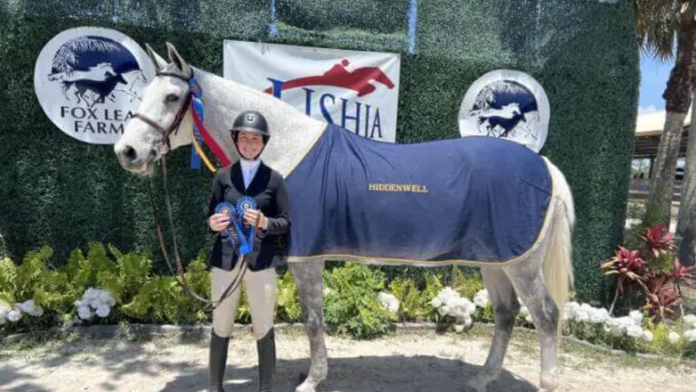 A horse and a girl